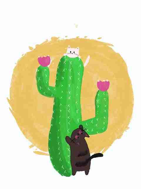 黑料网猎奇事件起底：社交热度回放链接