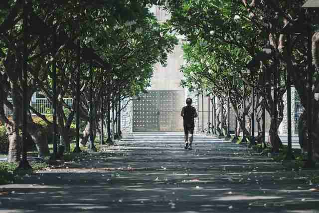 【高手指南】每日大赛在线免费观看选手口碑对照合集，值得收藏